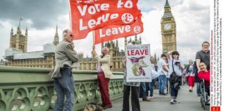 What comes next: How the outcome of the EU referendum will shape Britain’s future brexit leave supporters