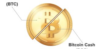 Bitcoin Cash Becomes Stable Following Sudden Spike In Value Bitcoin Cash Becomes Stable Following Sudden Spike In Value