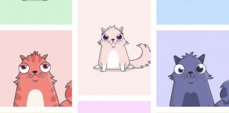 Did CryptoKitties Cause the Ethereum to Rise In Value? Did CryptoKitties Cause the Ethereum to Rise In Value?