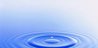 Ripple Rises In Dramatic Fashion Ripple Rises In Dramatic Fashion