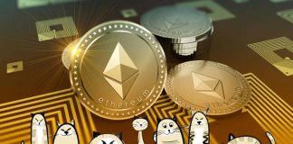 The CryptoKitties Craze: Digital Pets for the Next Generation The CryptoKitties Craze: Digital Pets for the Next Generation