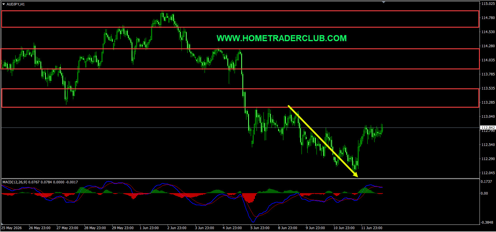 Weekly Summary And Review 12th June 2026 Weekly Summary And Review 12th June 2026