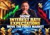 How Interest Rate Expectations Move the Forex Market How Interest Rate Expectations Move the Forex Market