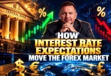 How Interest Rate Expectations Move the Forex Market How Interest Rate Expectations Move the Forex Market