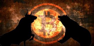 Bitcoin Developer Quickly Changes Mind About Bitcoin, Suspects the Value Will Drop More Bitcoin Developer Quickly Changes Mind About Bitcoin, Suspects the Value Will Drop More