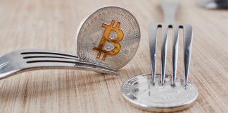 Bitcoin Cash: Is It a Worthy Option for Investment? Bitcoin Cash: Is It a Worthy Option for Investment?