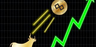 TenX Experiencing a Strong Bull Market TenX Experiencing a Strong Bull Market