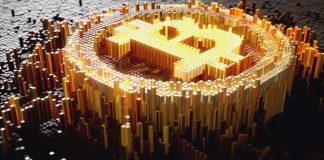 Could Bitcoin Replace US Dollar in the Future? Could Bitcoin Replace US Dollar in the Future?
