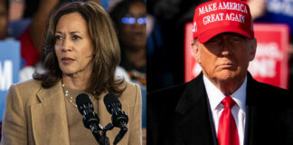 Dollar Drops As Some US Polls Shift Toward Harris: Markets Wrap Dollar Drops As Some US Polls Shift Toward Harris: Markets Wrap