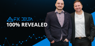 Is the FX Delta Strategy worth the Hedge Funds attention?