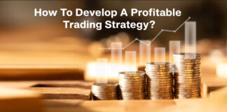 How to Develop a Profitable Forex Trading System And Make Profits With It How to Develop a Profitable Forex Trading System And Make Profits With It