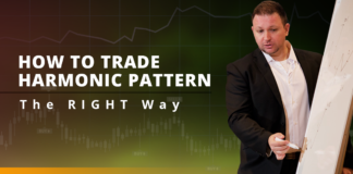 How To Trade Harmonic Pattern The RIGHT Way How To Trade Harmonic Pattern The RIGHT Way