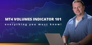 MT4 Volumes Indicator 101 – Everything You Must Know! MT4 Volumes Indicator 101 - everything you must know!