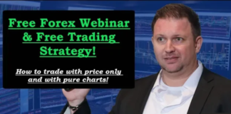 Cómo Operar Solo con la Acción del Precio (¡Sin Indicadores!) How To Trade With Price Action Only (No Indicators!)