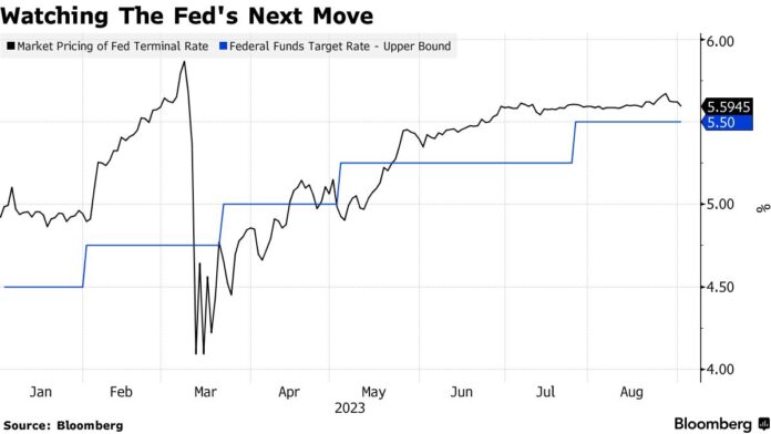 Stocks Rise On Signs China Stimulus Taking Hold: Markets Wrap