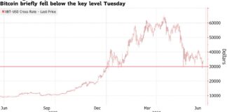 Bitcoin Bounces Back After Tumbling Below $30,000 Threshold Bitcoin Bounces Back After Tumbling Below $30,000 Threshold