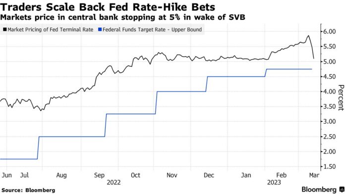 Treasuries Surge As Traders Recalibrate Rate Bets: Markets Wrap