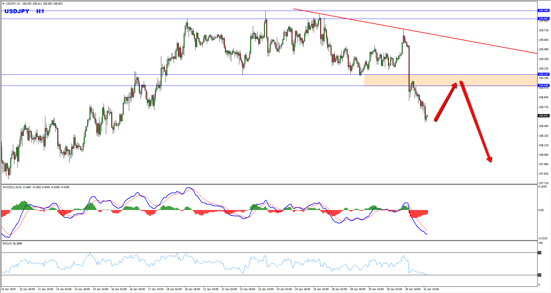 USDJPY Bearish Opportunity Forming At The Moment – Business Updates