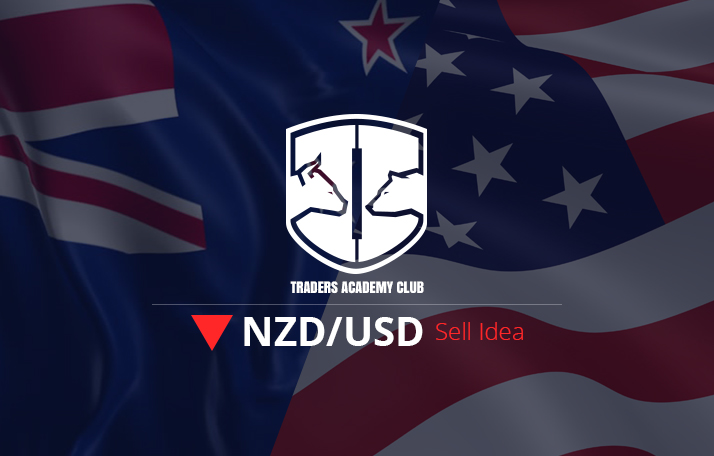 NZDUSD Forecast Follow Up And Update