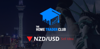 NZDUSD Technical Analysis And Short Term Forecast