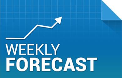 Forex Market Weekly Analysis Vladimir Ribakov - 